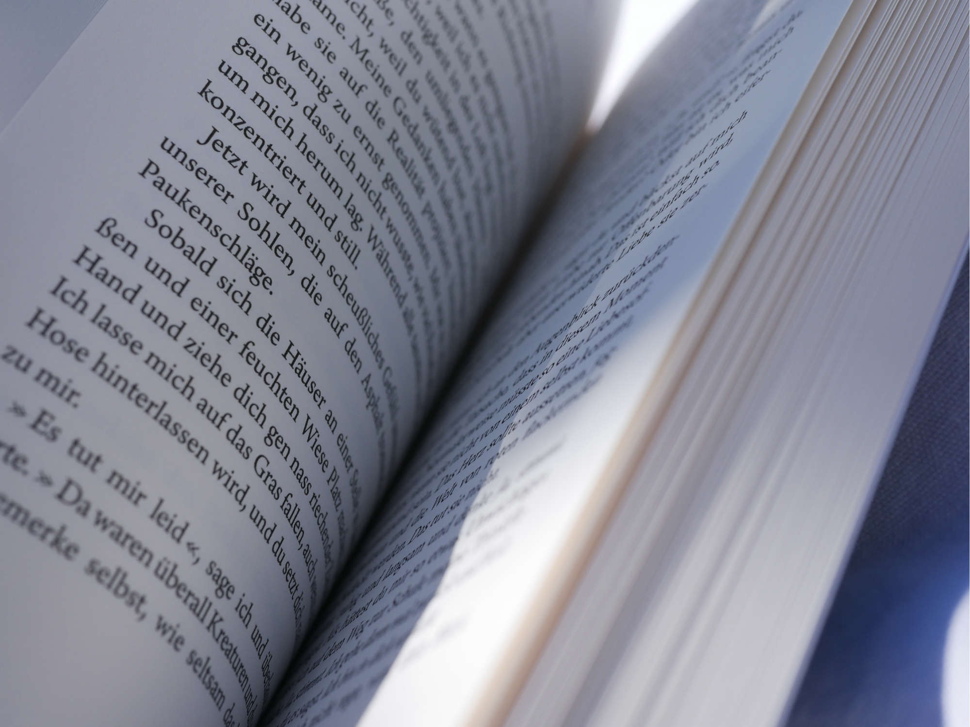 Roman Gestaltung Coming of age Sommerbuch